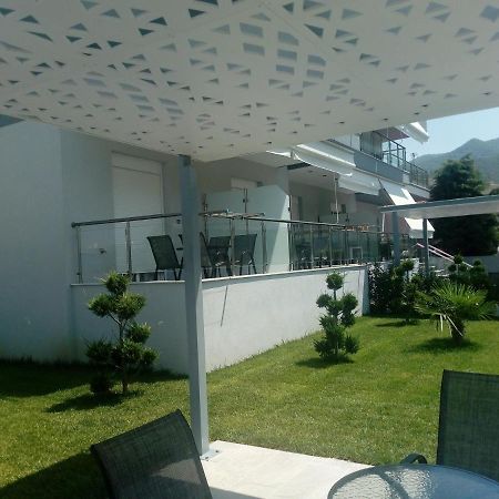 ستافروس Dream Studios المظهر الخارجي الصورة